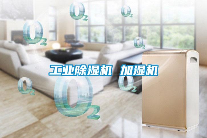 工业91抖音免费看片 加湿机