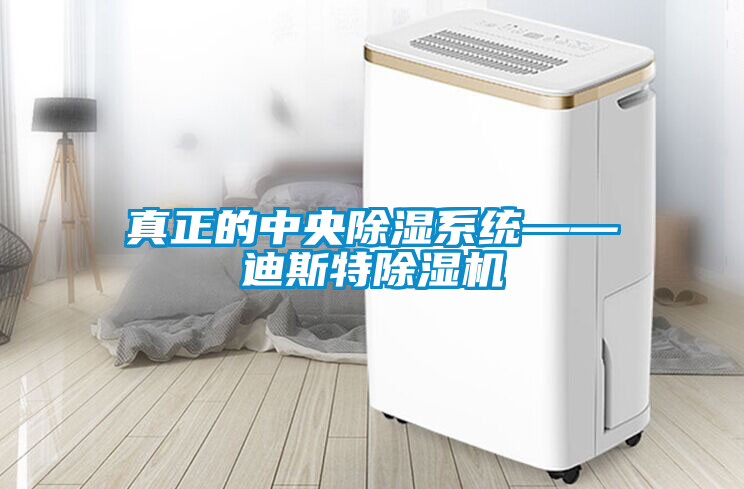 真正的中央除湿系统——迪斯特91抖音免费看片