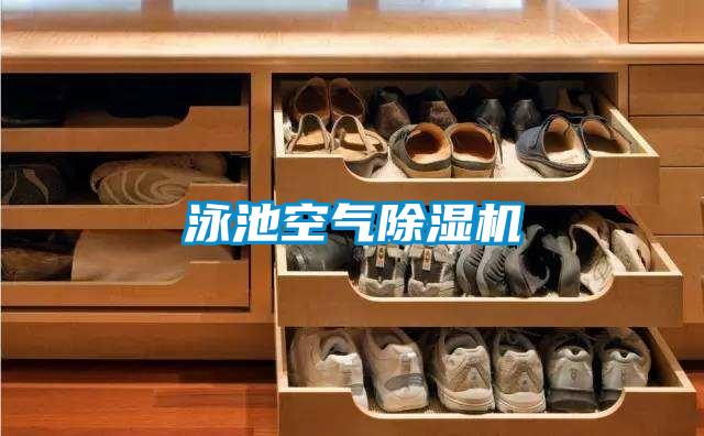 泳池空气91抖音免费看片