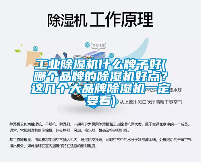工业91抖音免费看片什么牌子好(哪个品牌的91抖音免费看片好点？这几个大品牌91抖音免费看片一定要看)