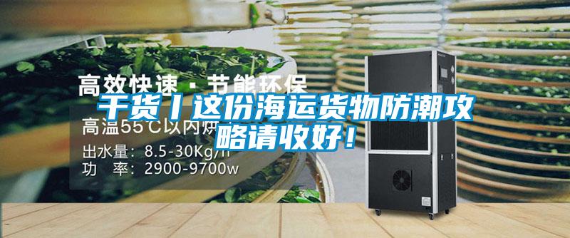 干货丨这份海运货物防潮攻略请收好！