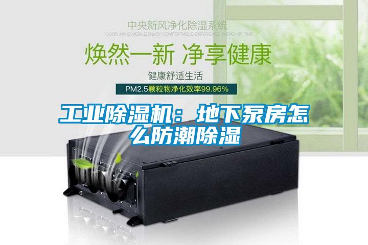 工业91抖音免费看片：地下泵房怎么防潮除湿