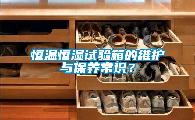 恒温恒湿试验箱的维护与保养常识？