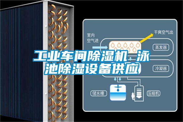 工业车间91抖音免费看片 泳池除湿设备供应