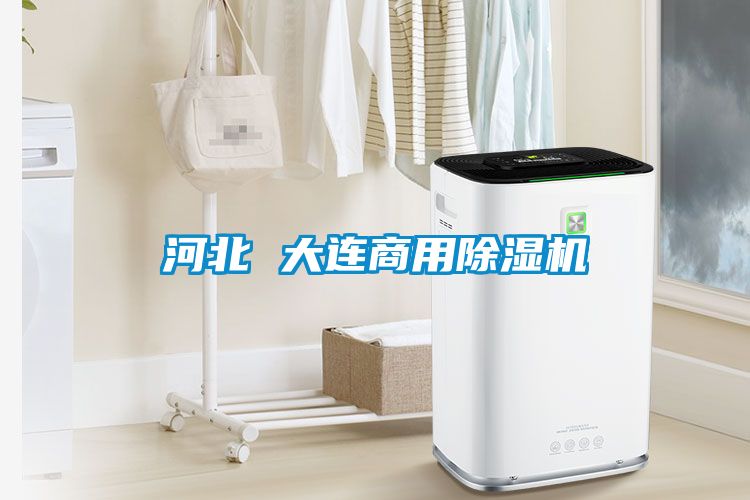 河北 大连商用91抖音免费看片