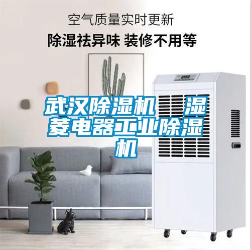 武汉91抖音免费看片  湿菱电器工业91抖音免费看片