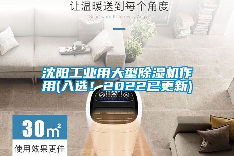 沈阳工业用大型91抖音免费看片作用(入选！2022已更新)