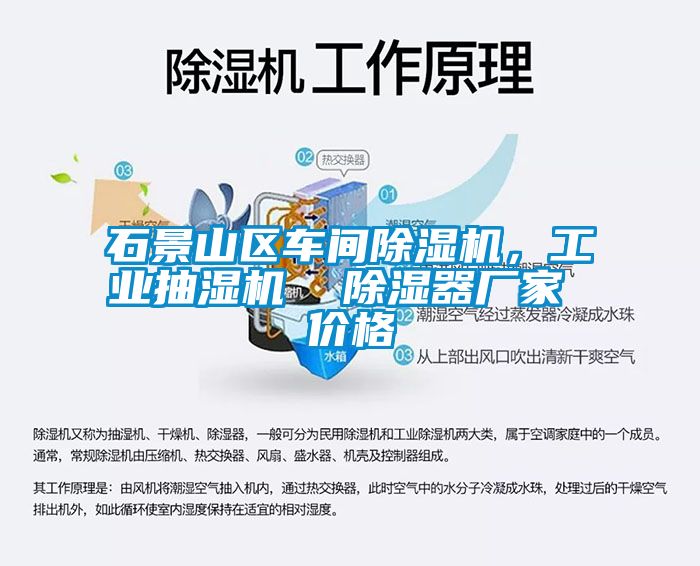 石景山区车间91抖音免费看片，工业抽湿机  除湿器厂家 价格