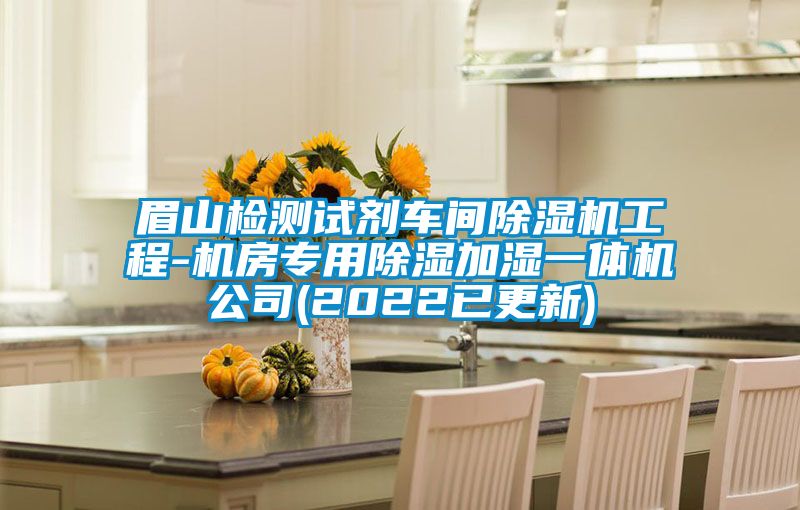 眉山检测试剂车间91抖音免费看片工程-机房专用除湿加湿一体机公司(2022已更新)