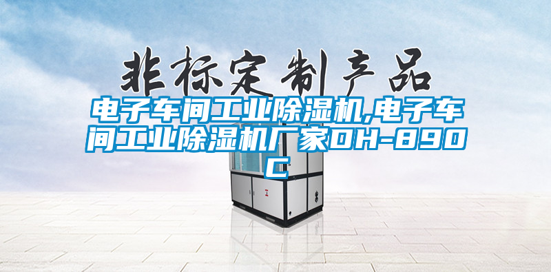 电子车间工业91抖音免费看片,电子车间工业91抖音免费看片厂家DH-890C
