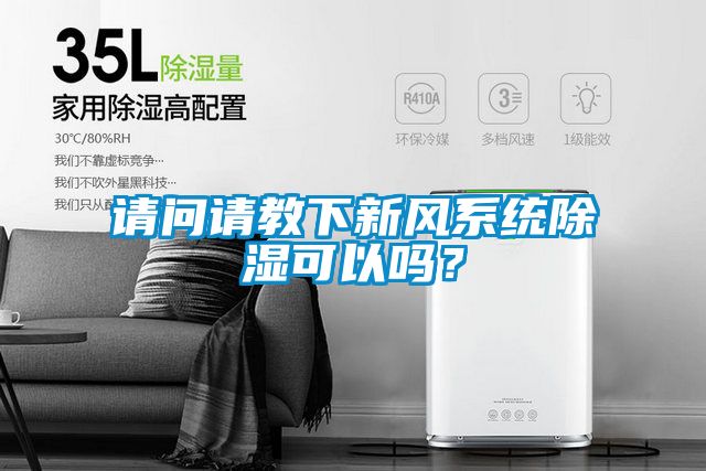 请问请教下新风系统除湿可以吗？