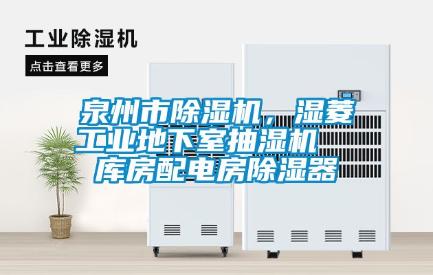 泉州市91抖音免费看片，湿菱工业地下室抽湿机  库房配电房除湿器