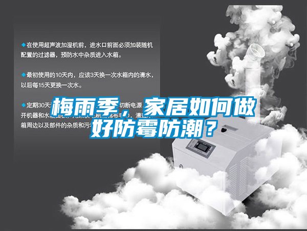 梅雨季，家居如何做好防霉防潮？