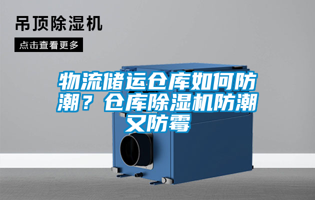 物流储运仓库如何防潮？仓库91抖音免费看片防潮又防霉
