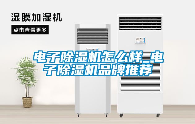 电子91抖音免费看片怎么样_电子91抖音免费看片品牌推荐
