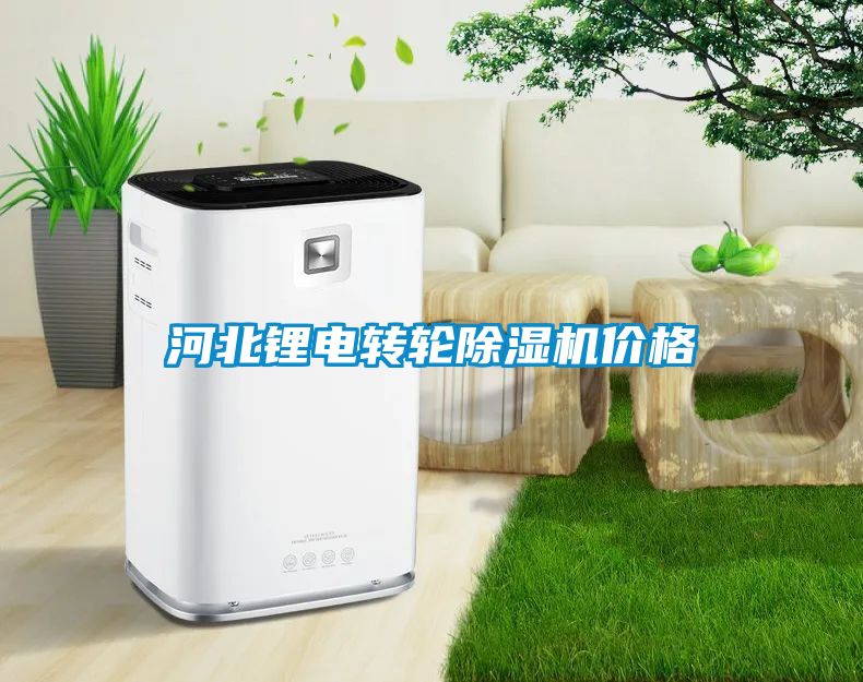 河北锂电转轮91抖音免费看片价格