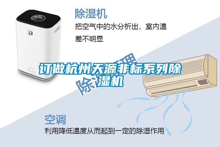 订做杭州天源非标系列91抖音免费看片