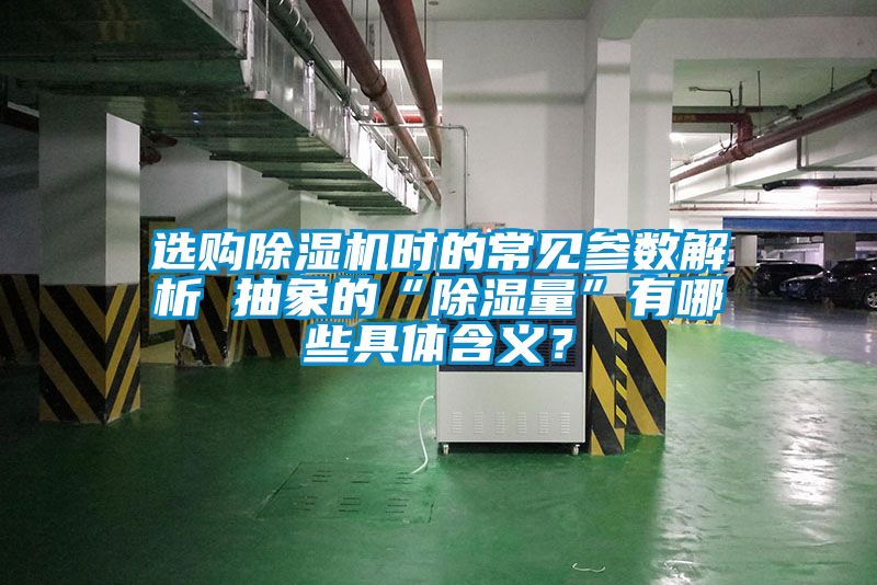 选购91抖音免费看片时的常见参数解析 抽象的“除湿量”有哪些具体含义？