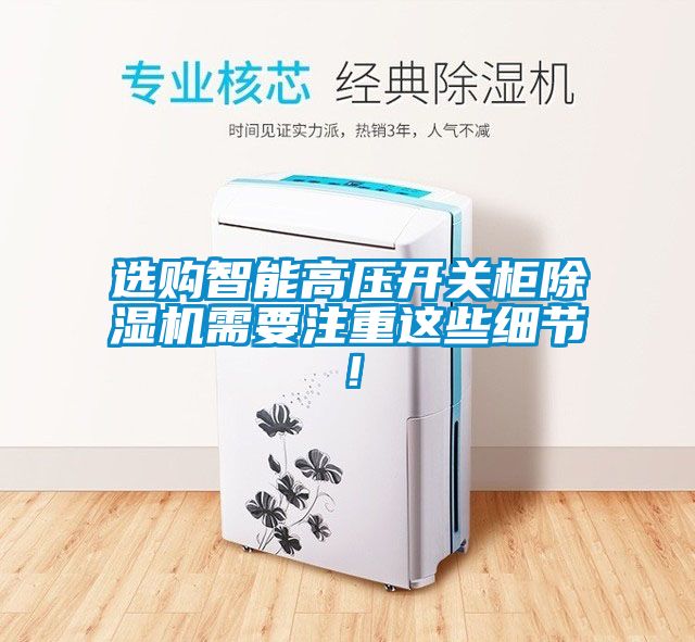 选购智能高压开关柜91抖音免费看片需要注重这些细节！