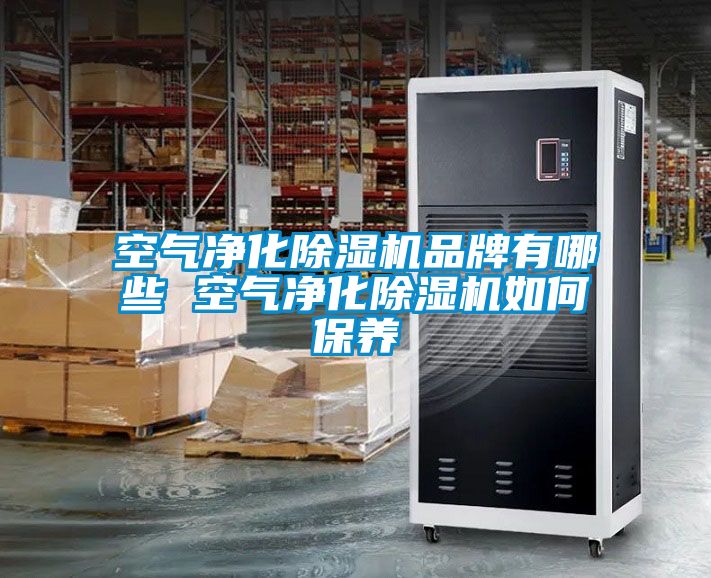 空气净化91抖音免费看片品牌有哪些 空气净化91抖音免费看片如何保养