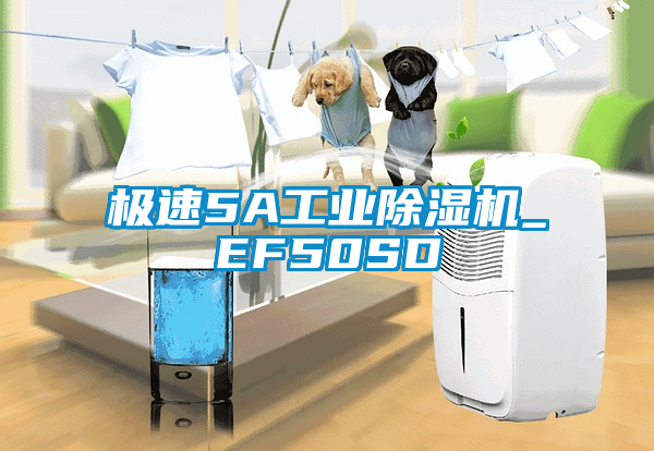 极速5A工业91抖音免费看片_EF50SD