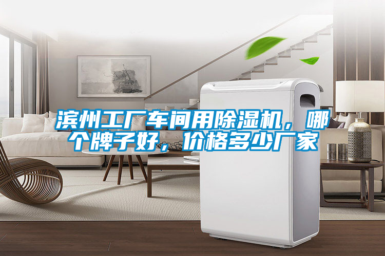 滨州工厂车间用91抖音免费看片，哪个牌子好，价格多少厂家