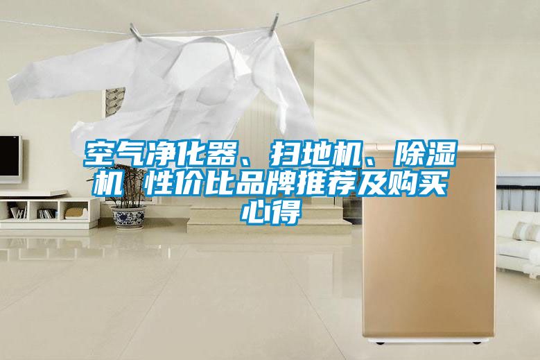 空气净化器、扫地机、91抖音免费看片 性价比品牌推荐及购买心得
