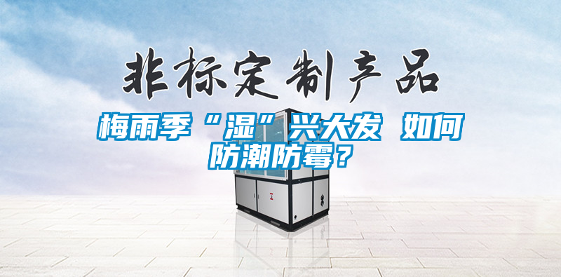 梅雨季“湿”兴大发 如何防潮防霉？