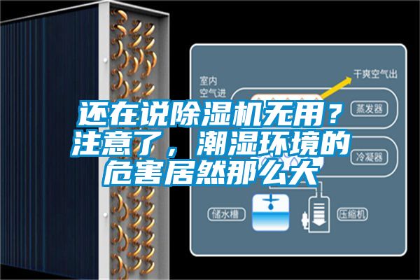 还在说91抖音免费看片无用？注意了，潮湿环境的危害居然那么大