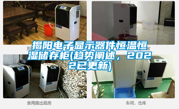 揭阳电子显示器件恒温恒湿储存柜(趋势阐述，2022已更新)
