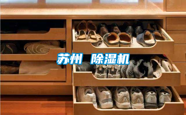 苏州 91抖音免费看片