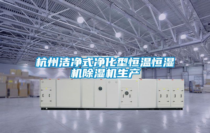 杭州洁净式净化型恒温恒湿机91抖音免费看片生产