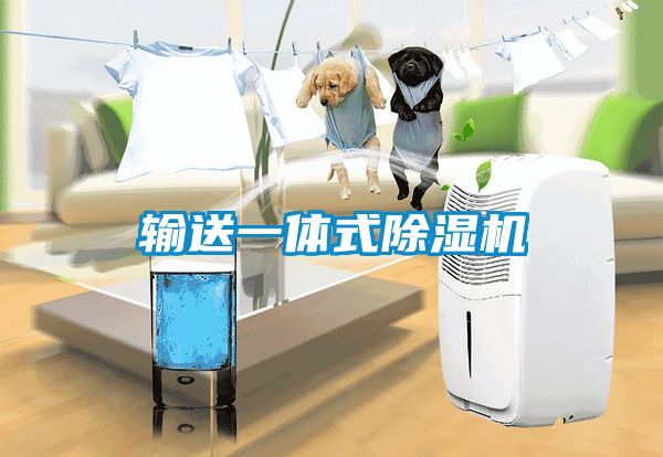 输送一体式91抖音免费看片