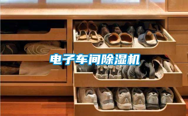 电子车间91抖音免费看片