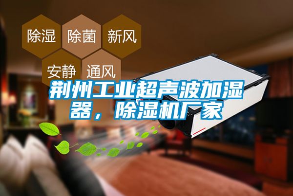 荆州工业超声波加湿器，91抖音免费看片厂家