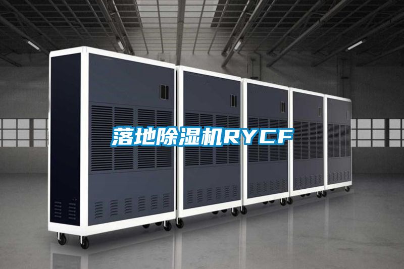 落地91抖音免费看片RYCF