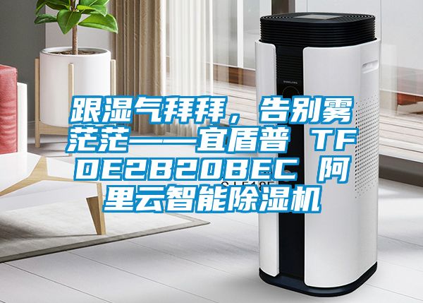 跟湿气拜拜，告别雾茫茫——宜盾普 TFDE2B20BEC 阿里云智能91抖音免费看片