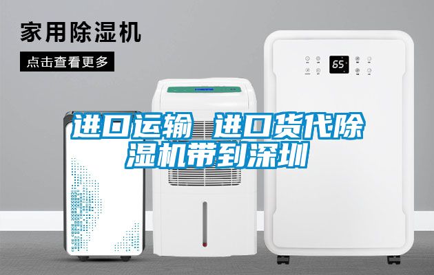 进口运输 进口货代91抖音免费看片带到深圳