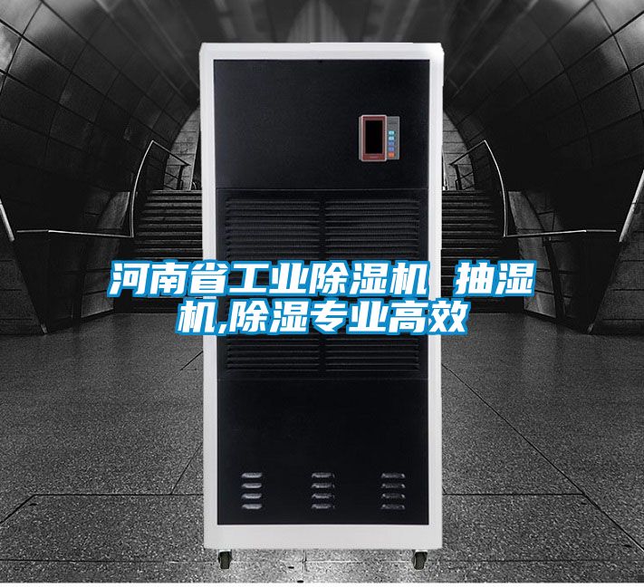 河南省工业91抖音免费看片 抽湿机,除湿专业高效