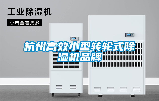 杭州高效小型转轮式91抖音免费看片品牌