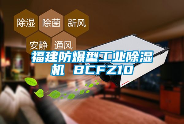 福建防爆型工业91抖音免费看片 BCFZ10