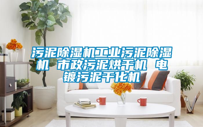 污泥91抖音免费看片工业污泥91抖音免费看片 市政污泥烘干机 电镀污泥干化机