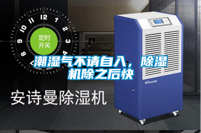 潮湿气不请自入，91抖音免费看片除之后快