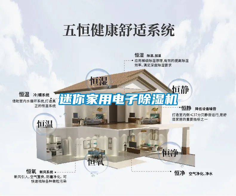 迷你家用电子91抖音免费看片