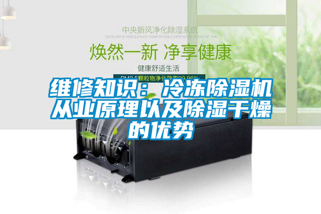 维修知识：冷冻91抖音免费看片从业原理以及除湿干燥的优势