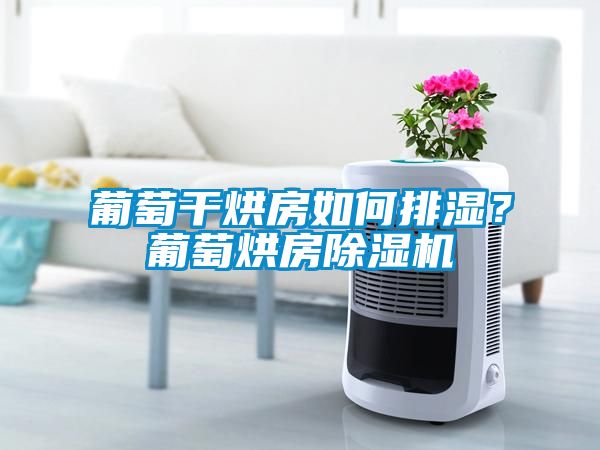 葡萄干烘房如何排湿？葡萄烘房91抖音免费看片