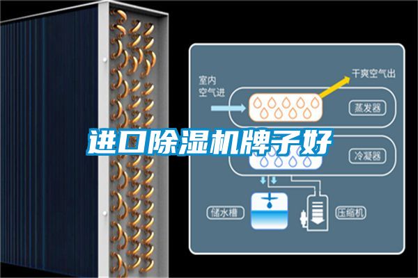 进口91抖音免费看片牌子好
