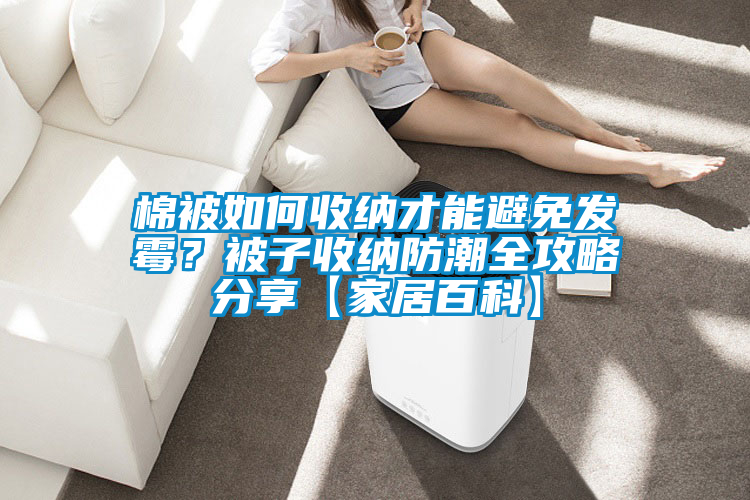 棉被如何收纳才能避免发霉？被子收纳防潮全攻略分享【家居百科】