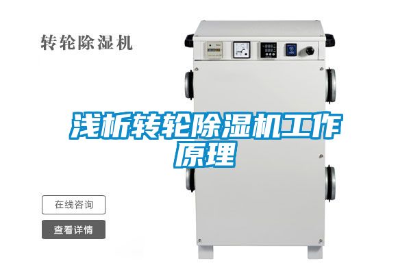 浅析转轮91抖音免费看片工作原理