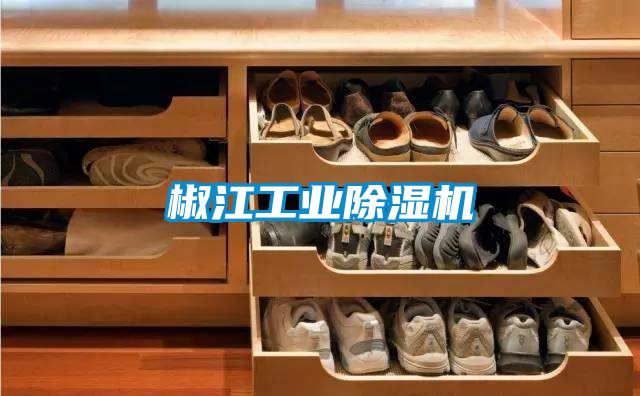 椒江工业91抖音免费看片